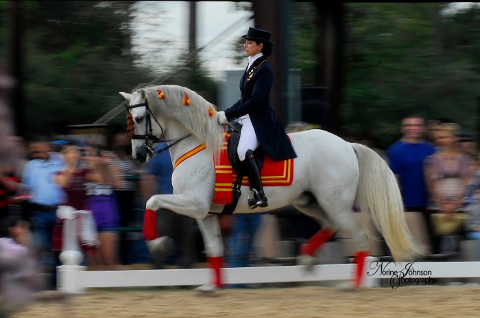 _NJ23935 Norine Johnson