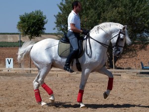 Dimas Sainz, un des cavaliers de dressage à l'origine du nouveau club. Ici avec Trebo (PSL). Photo Javier Villard)
