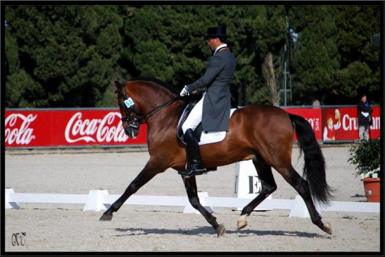 Grandioso, grand vainqueur de ce Sunshine Tour 2013.